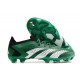 Skor adidas Predator Accuarcy.1 Low FG Grön Vit